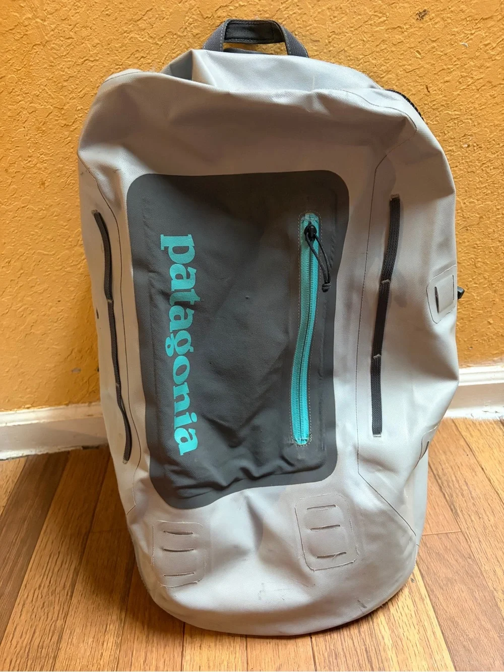 Patagonia sleek backpack